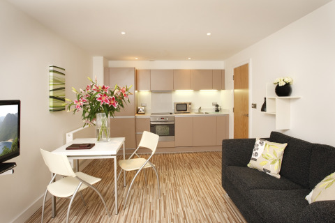  One bedroom apartment