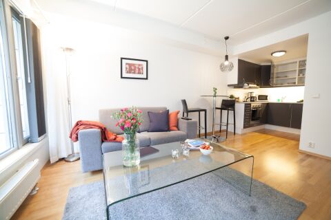 Living area, Gronland Apartments, Serviced Accommodation, Oslo