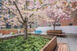 Longacre House Apartments
                                    - New York City, New York