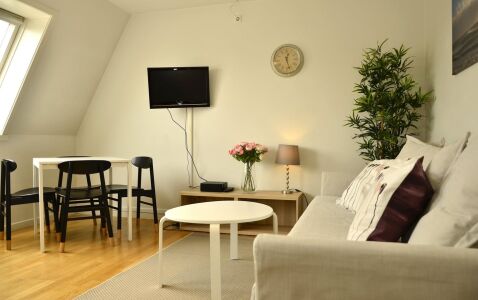 Briskebyveien Apartment