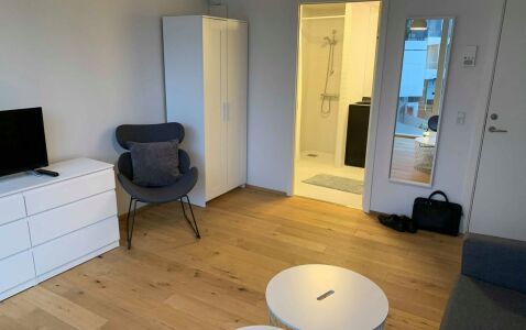 Richard Mortensens Vej Apartment II