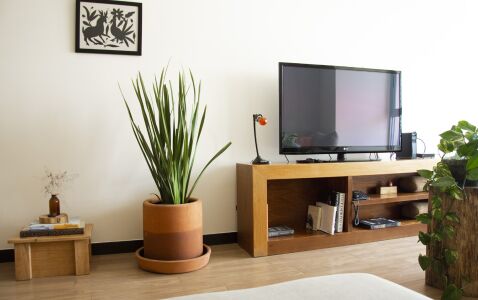 White Elephant Apartment