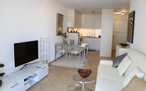 Rue De Lausanne Apartment