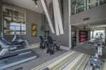 Pearl 21 Eleven Apartments
                                    - Houston, Harris County