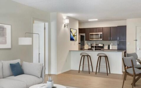 Washington Boulevard Accommodation